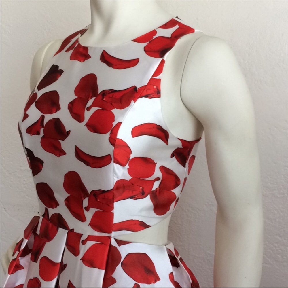 Anthropology Re:named Cut Out Back Dress - Picture 3 of 8